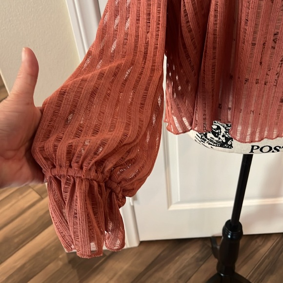 Anthropologie Sheer Striped Crop Blouse. NWT - Picture 4 of 8